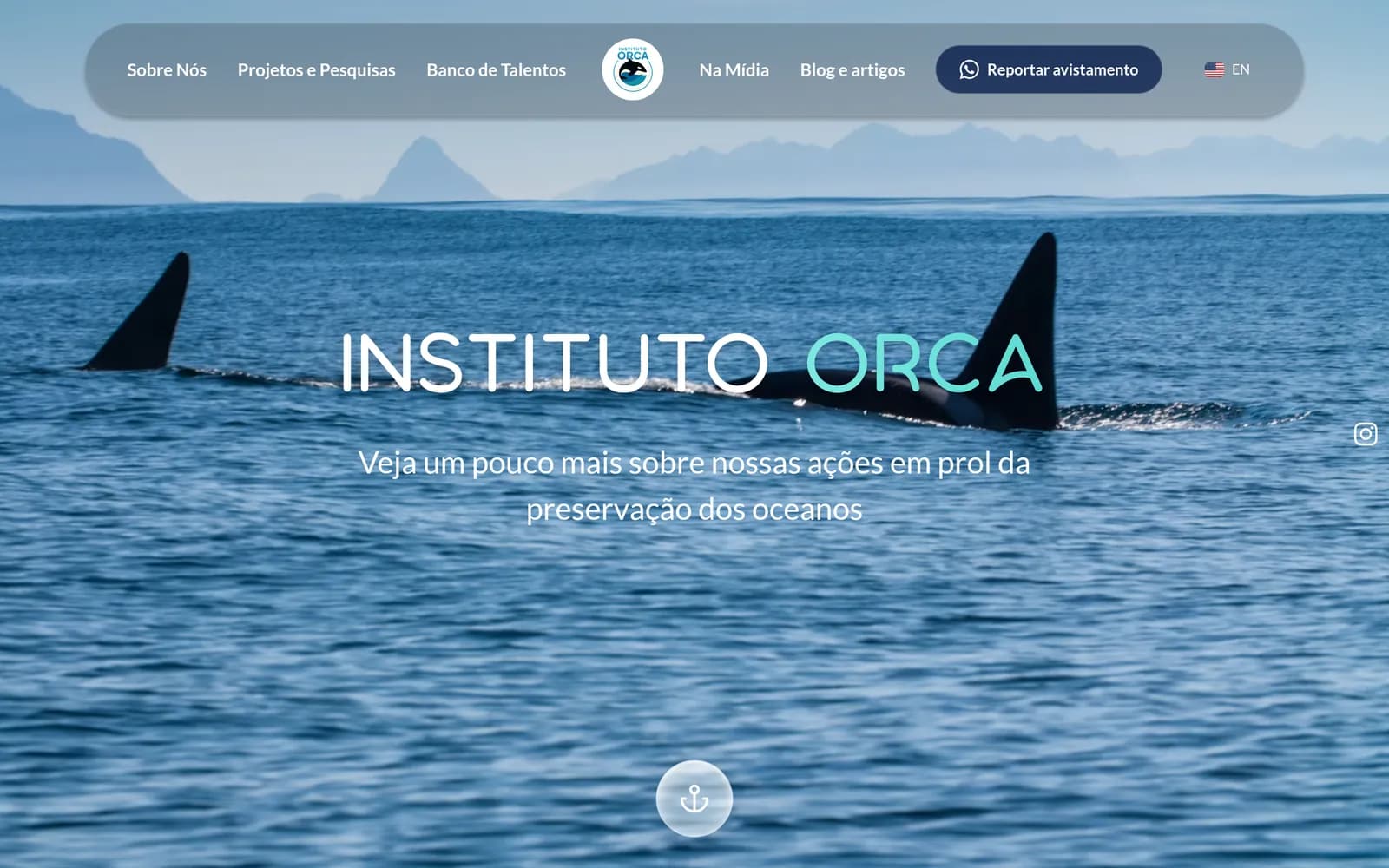 Página inicial do site do Instituto Orca
